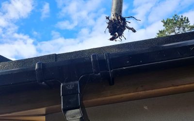 Gutter cleaning stockport