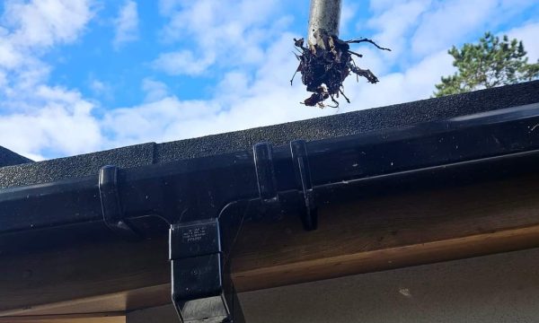Gutter cleaning stockport