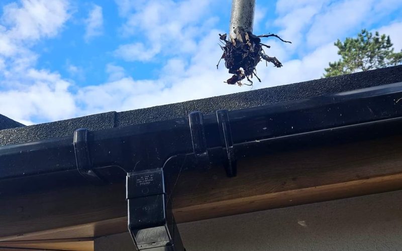 Gutter cleaning stockport